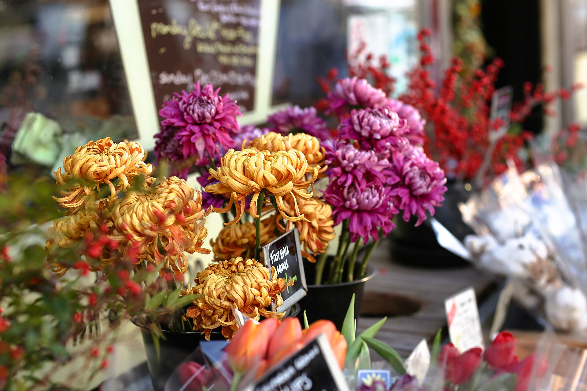 Étal de fleuriste garni de chrysanthèmes et de tulipes (photo d'illustration)